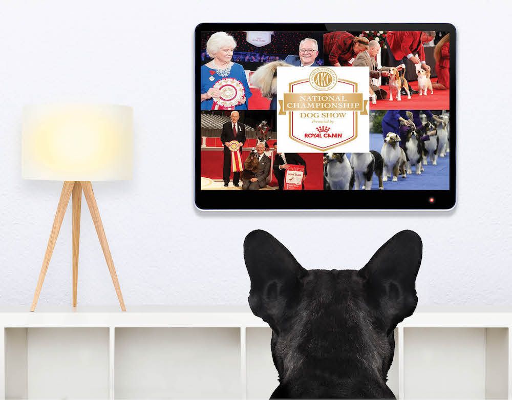 Editorial: January 14, 2022